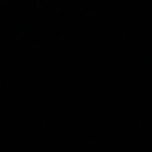 Meet your Posher, Lesly